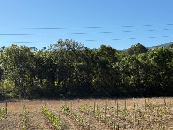 TERRAIN AGRICOLE 2570M2 NON CONSTRUCTIBLE