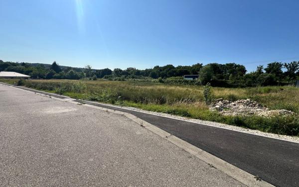 Terrain à vendre    Baudonvilliers