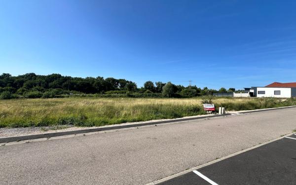 Terrain à vendre    Baudonvilliers