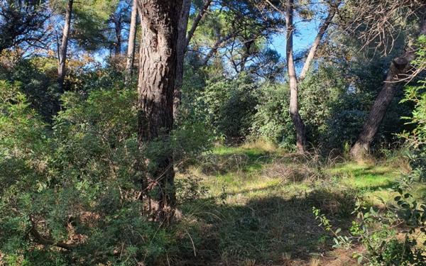 Terrain à vendre    Ollioules