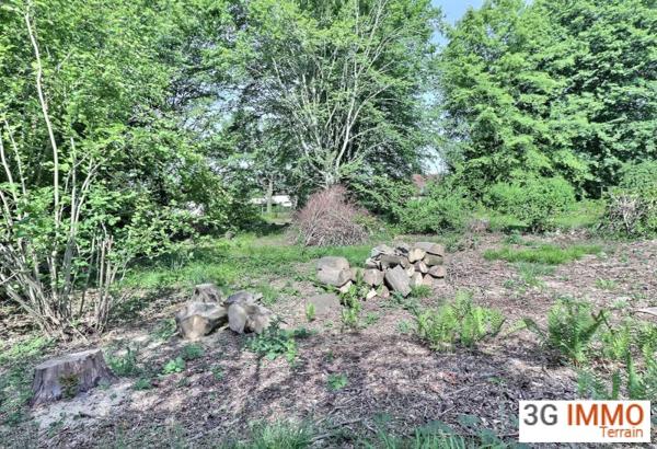 Vente / Terrain constructible