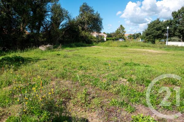 Terrain à vendre  506 m2 BRETIGNOLLES SUR MER - 85