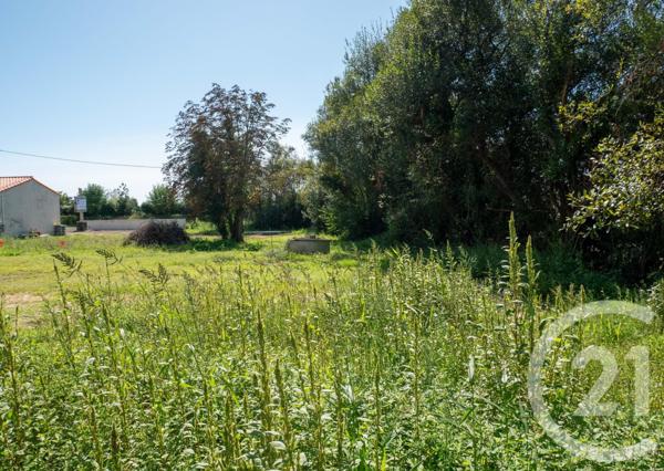 Terrain à vendre  506 m2 BRETIGNOLLES SUR MER - 85