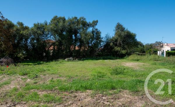 Terrain à vendre  506 m2 BRETIGNOLLES SUR MER - 85