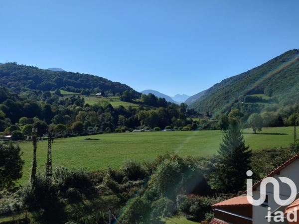 Maison à vendre 18 pièces 295 m² Hèches