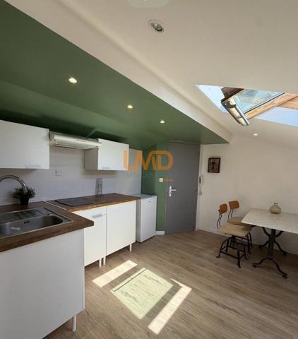 T2 atypique 50m2 au sol, centre-ville, bel immeuble