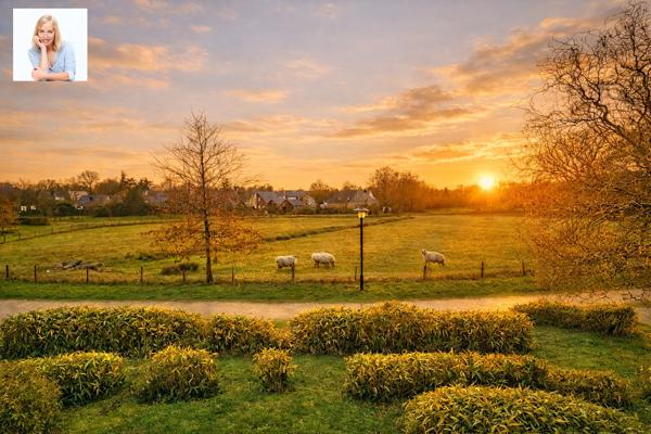 Appartement 4 pièces - 84 m²