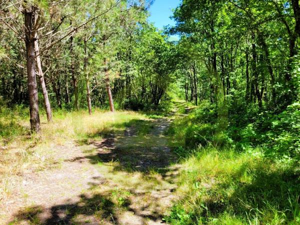 Maison à ETAULIERS (33820)