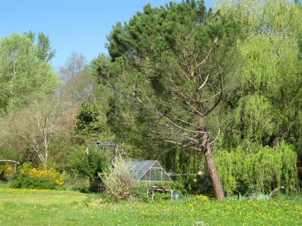 DOLMAYRAC - Ancien Moulin du 18e siècle à rénover avec piscine et 1,4465 ha de terrain arboré - Lot & Garonne (47)