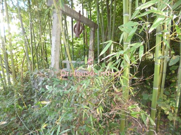 Terrain à vendre de 1 200 m²