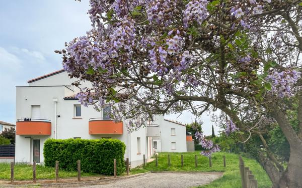 Appartement à vendre    1 pièce • 19 m2 Toulouse