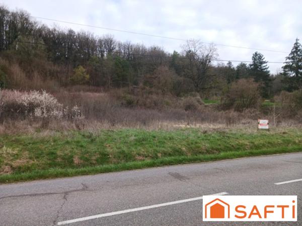 Laissez aller votre imagination sans retenue.