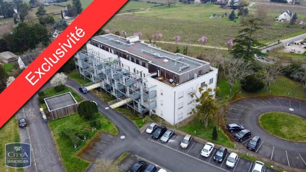 Vente appartement Chinon (37500) 3 pièces 55m²