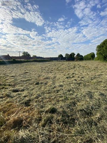 Terrain à Batir à vendre à Penin dans le Pas-de-Calais (62127), ref : 62114-795