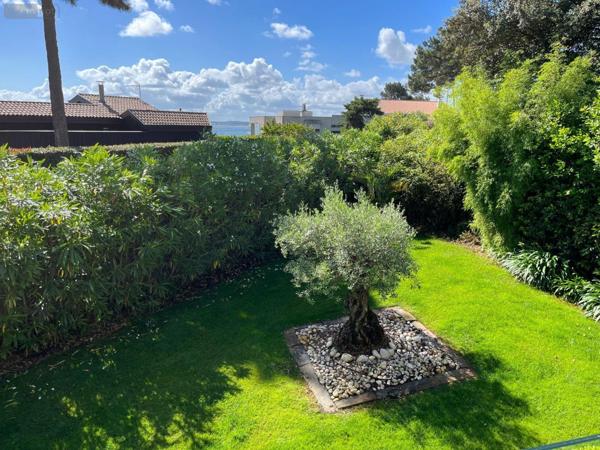 Maison à vendre à Lège-Cap-Ferret en Gironde (33950), ref : 147/768   
L'HERBE