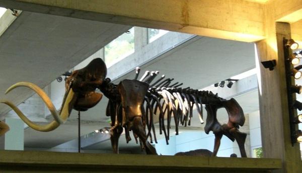 Terrain à vendre de 500,00 m² NEMOURS (77)