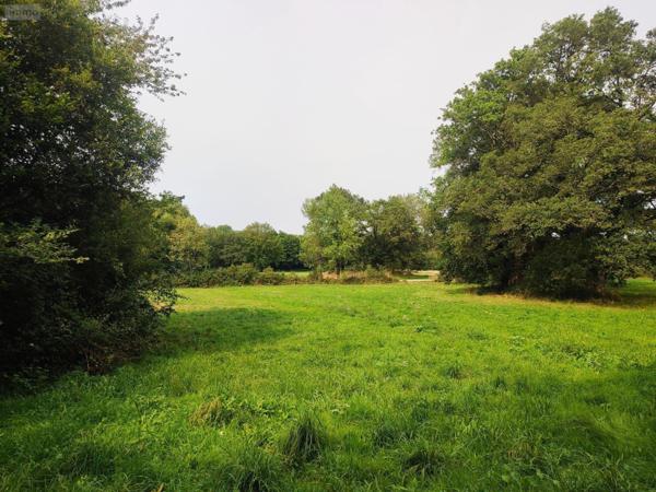 Maison individuelle à vendre à Cournon dans le Morbihan (56200), ref : 009/1284