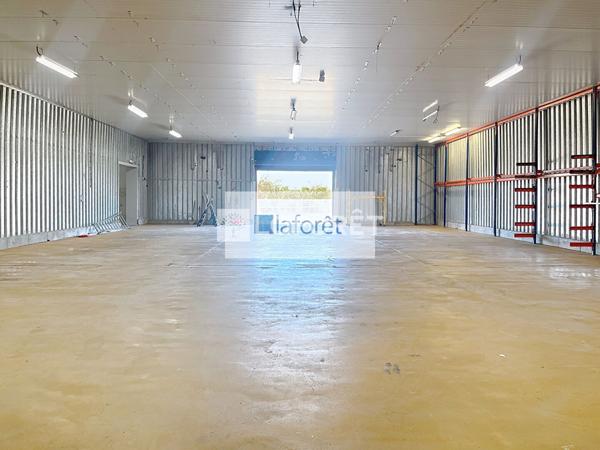 Location local commercial Montech - 675 m² - 2 800 €/mois