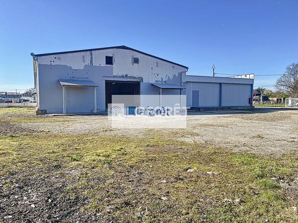 Location local commercial Montech - 675 m² - 2 800 €/mois