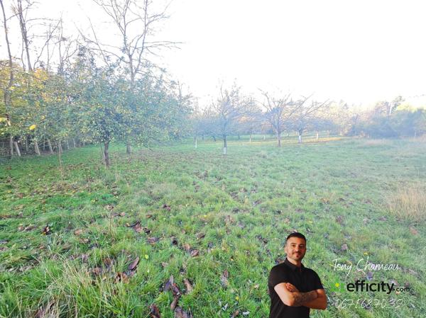 Terrain
        
        - 18104 m² 33 000 € *