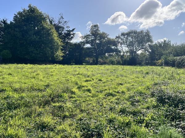 Beau terrain à vendre – Ouest de Vannes