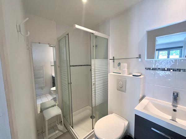 Location Appartement La rochelle 1 pièce 16.31m²-LAM3415