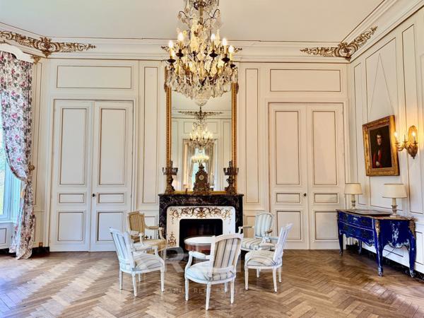 Château XIXe siècle sur 39ha avec Orangerie commerciale 50 couchages.