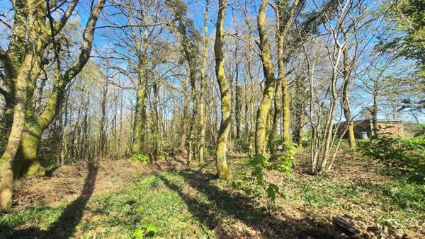 Maison à MELLIONNEC, 22110 - 6 pièces 90m²