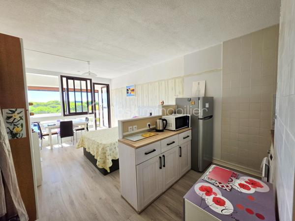 Valenti Victor vous propose en exclusivité - Ce bel appartement entièrement rénové, lumineux et parfaitement agencé situé au 3ème étage (avec ascenseur) en plein centre-ville d'une résidence calme et bien entretenue. Il se compose comme suit : 

- Un séjour climatisé, une cuisine équipée et aménagée
- Une salle d'eau avec wc
- Un agréable balcon permettant de profiter des beaux jours

Que ce soit pour une résidence principale, secondaire ou un investissement locatif ce bien saura pleinement répondre à vos attentes

La toiture et la façade de la résidence ont été refaits récemment

De nombreuses places de stationnements gratuites sont à proximité du logement notamment un grand parking au pied de la résidence

Une visite s'impose