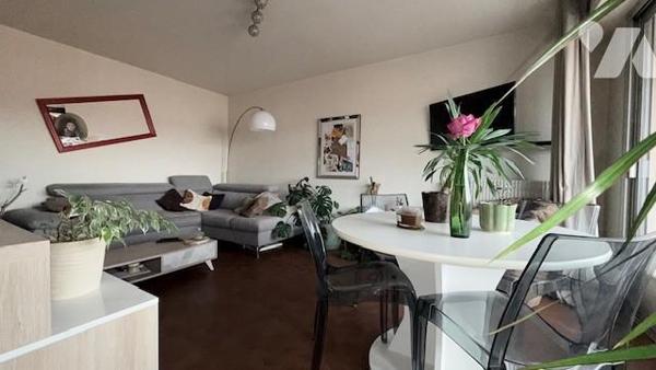 Appartement T2 et cave