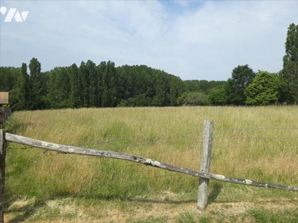 MARIGNE LAILLE, terrain non viabilisé constructible de 1215 m².