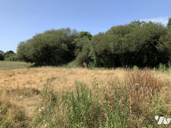 ARZON - Terrain à bâtir.
