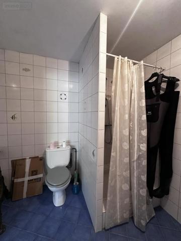 Achat - Maison Sarzeau 56370 7 pièces 212 m 2 971 m 2