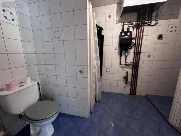 Achat - Maison Sarzeau 56370 7 pièces 212 m 2 971 m 2