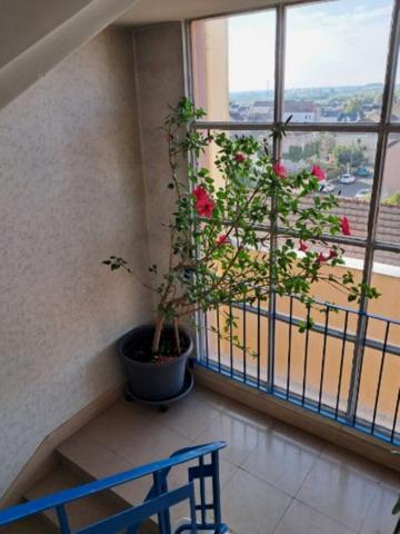 Superbe Appartement Montceau Les Mines 7 pieces 166.58 m2