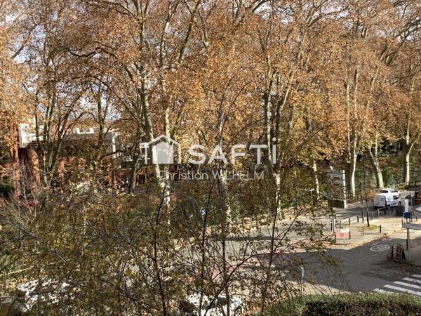 Toulouse Amidonniers allées de Brienne appart 79m2