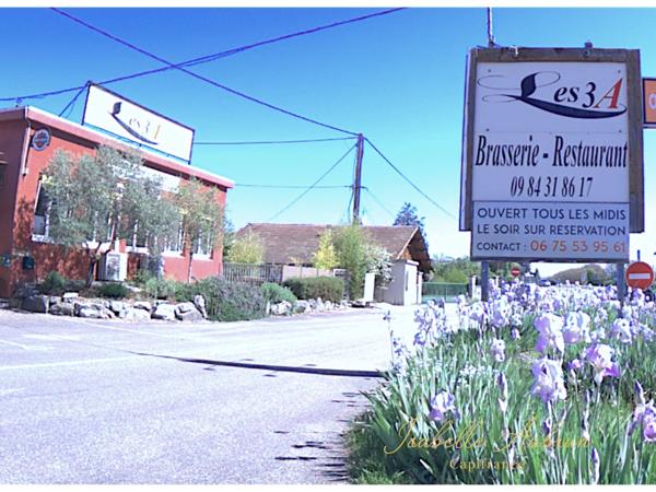 Fonds de commerce Restaurant à vendre CHATTE (38)