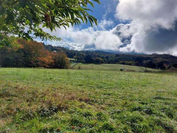 Terrain à vendre |  Palazinges |  2964 m²