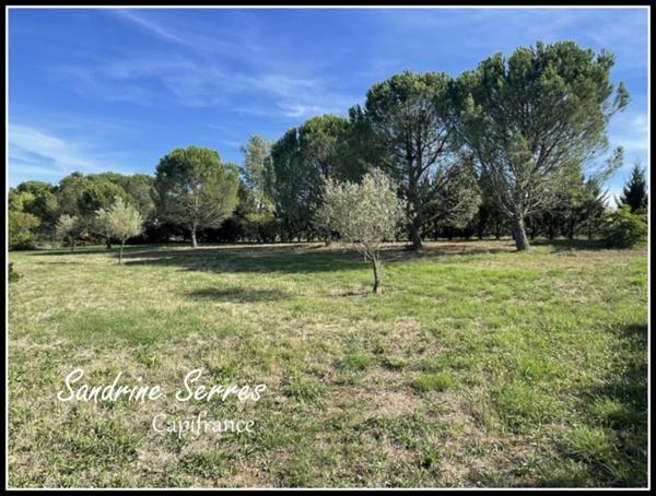 À vendre - Villa T5 de plain-pied avec grand terrain.