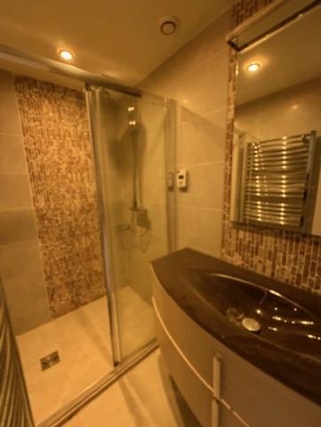 PLAISANCE du GERS proche (32), ELEGANTE MAISON DE VILLAGE de 307m2, en pierres avec JARDIN clos 250m2, SANS TRAVAUX