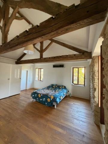 PLAISANCE du GERS proche (32), ELEGANTE MAISON DE VILLAGE de 307m2, en pierres avec JARDIN clos 250m2, SANS TRAVAUX