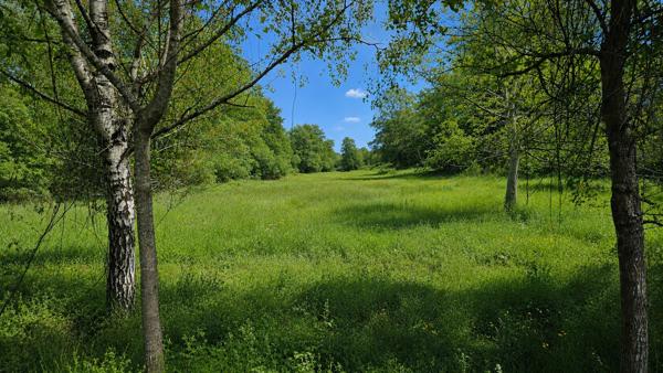 Propriété avec sous-sol total, hangar et plus de 2 hectares de terrain à Maulévrier