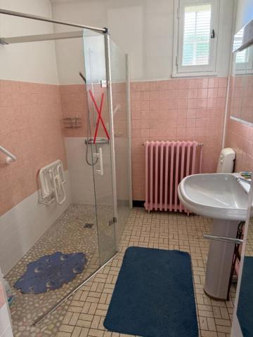 Maison Yzeure + Maisonnette