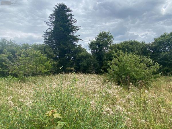 Maison à vendre à Coray dans le Finistère (29370), ref : 29122-1566