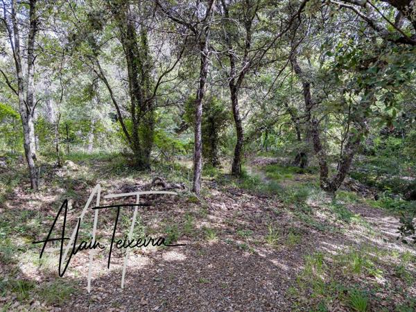 terrain batir de 1000 m²