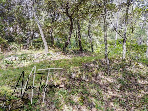 terrain batir de 1000 m²