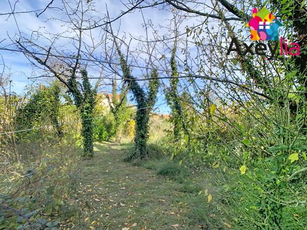 Roanne (42300) A VENDRE- ROANNE- MAISON À RÉNOVER ENTIÈREMENT COMPOSÉE DE 2 APPARTEMENTS