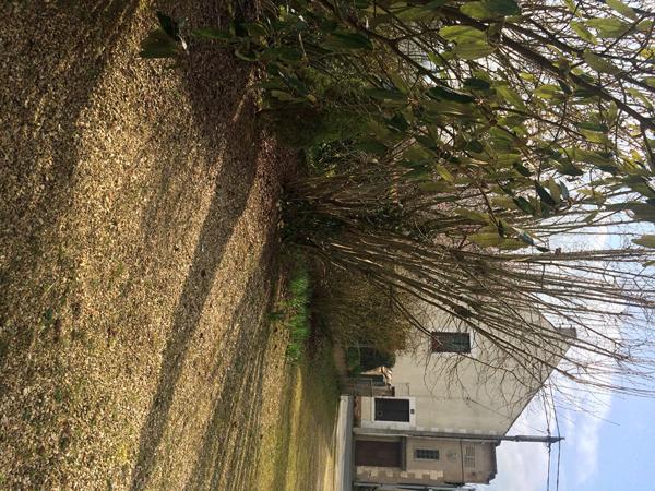 Appartement Issoudun 2 pièce(s) 57 m2