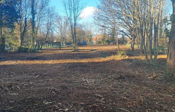 Terrain à Batir de 3 839 m²