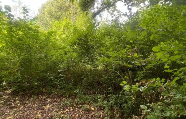 Terrain à Batir de 3 839 m²